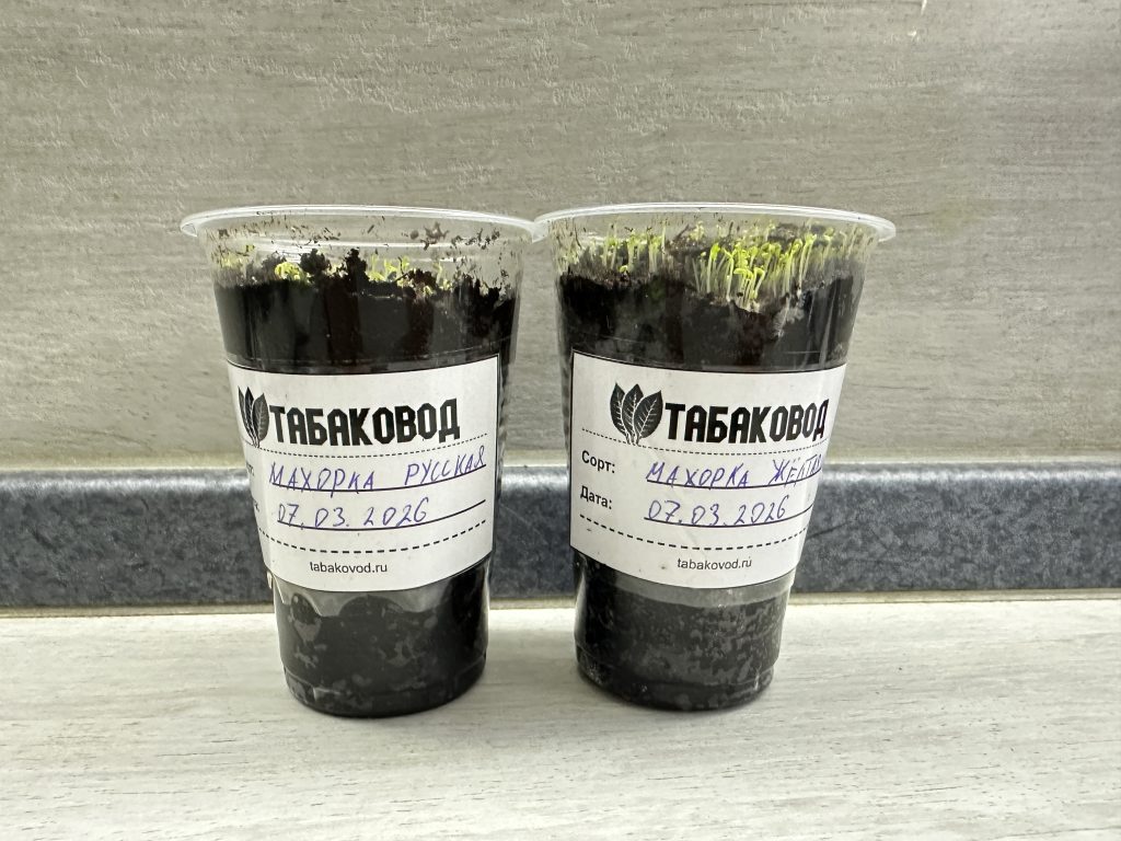 Пример этикеток для сортов