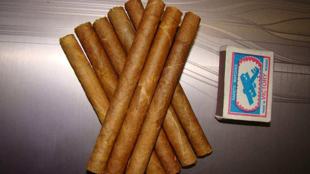 Как скрутить сигару из листьев табака в домашних условиях