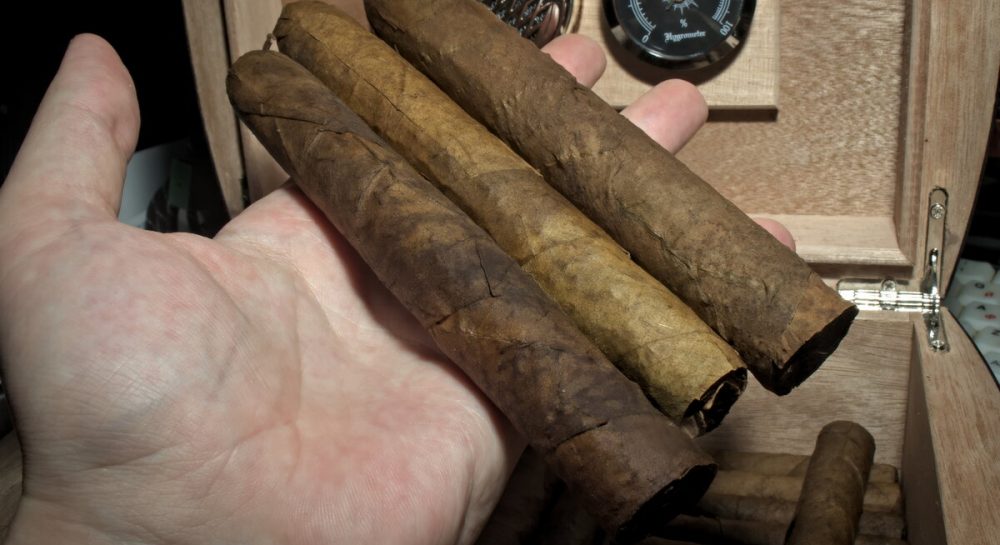 Как скрутить сигару из листьев табака в домашних условиях