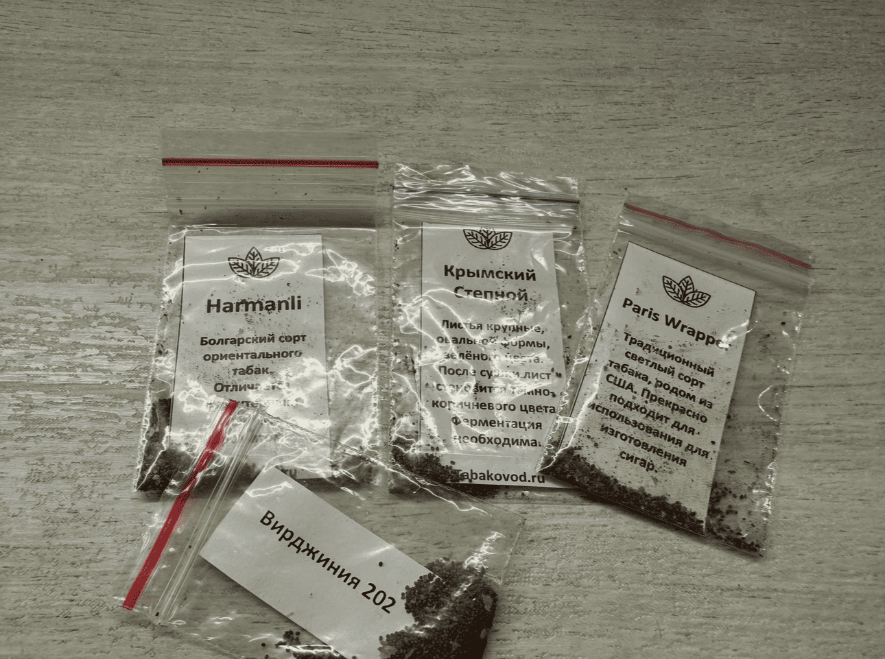 Семена табака